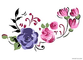 韓國時尚花紋