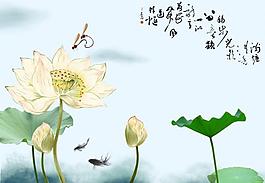 愛蓮說 荷花圖片