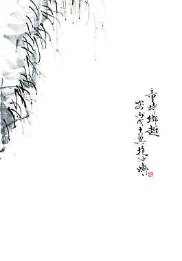放牛娃