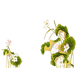 蓮花