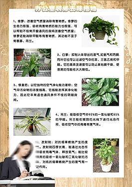 辦公室裝修去味植物海報