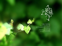 綠葉PSD花邊素材模板