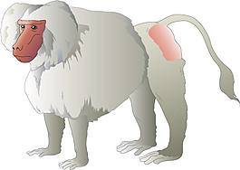 卡通動物墻貼