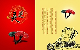 靈芝保健品畫冊(cè)設(shè)計(jì)