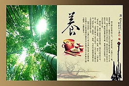 養生畫冊封面設計