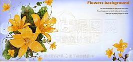 花卉插畫圖片