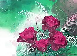 花卉插畫圖片