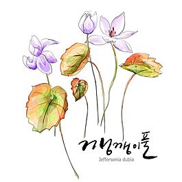 花朵插圖
