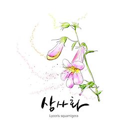 紅花