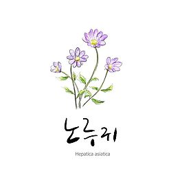 紫色花