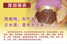腎部保養(yǎng)