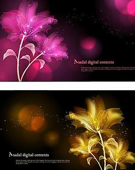 時(shí)尚花紋圖片