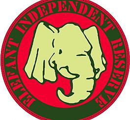 大象圖片