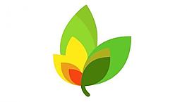 綠色logo圖片