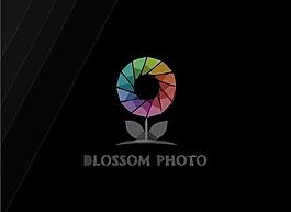 花瓣logo圖片