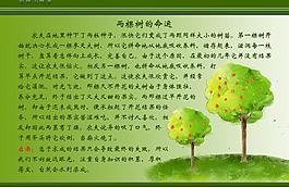 兩棵樹的命運圖片