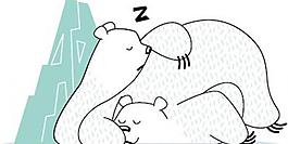 北極熊圖片