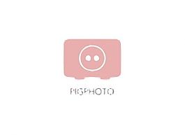 小猪logo图片