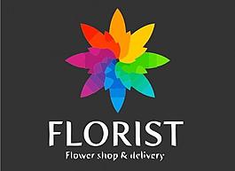 花瓣logo圖片
