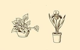 植物裝飾畫圖片