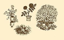 植物裝飾畫圖片