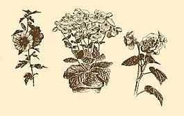 植物裝飾畫圖片