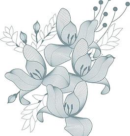 美麗花朵圖片