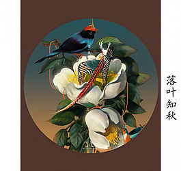 薔薇圖片