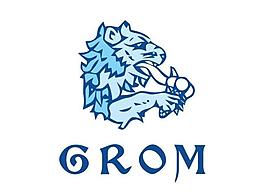 獅子logo圖片
