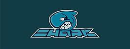 鯊魚logo圖片