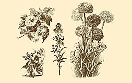植物裝飾畫(huà)圖片