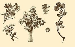 植物裝飾畫(huà)圖片