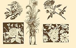 植物裝飾畫(huà)圖片