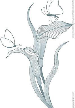 蝴蝶花卉图片