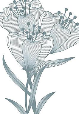 花朵圖案圖片