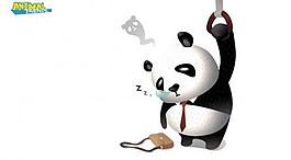大熊貓上班族圖片