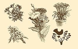 植物裝飾畫圖片