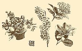 植物裝飾畫圖片