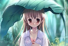 在荷葉下躲雨的女孩圖片