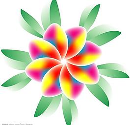 花朵插畫圖片
