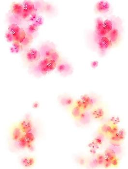 時尚花紋圖片