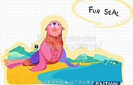 海豚圖片