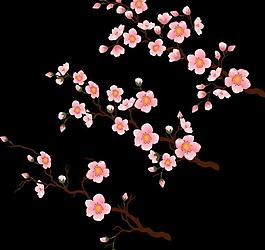 花紋花卉圖片