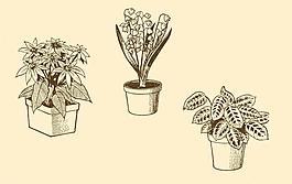 植物裝飾畫圖片