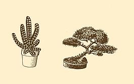植物裝飾畫圖片