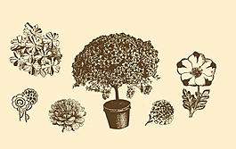 植物裝飾畫圖片