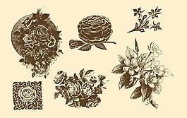 植物裝飾畫(huà)圖片