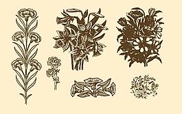 植物裝飾畫(huà)圖片