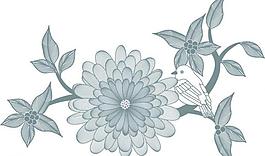 牡丹花開圖片