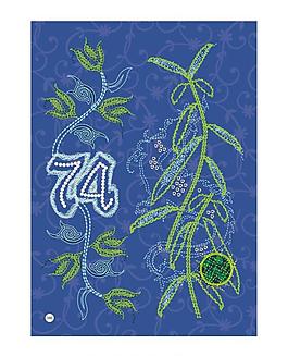 花紋圖片